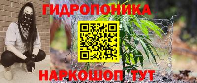 гашик Ипатово