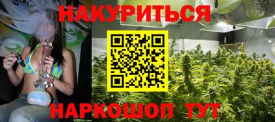 шишки Ирбит