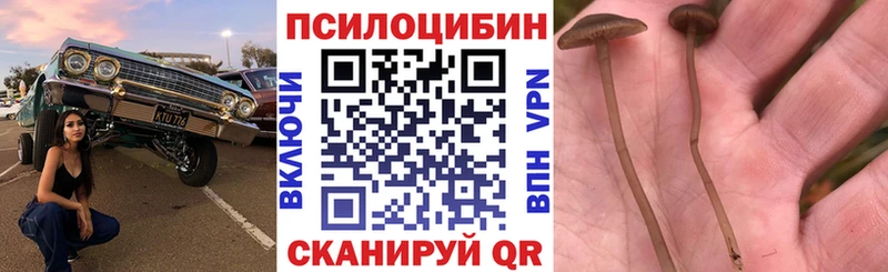 Псилоцибиновые грибы Cubensis  Оренбург 