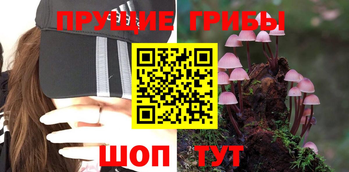 Галлюциногенные грибы мухоморы Оренбург