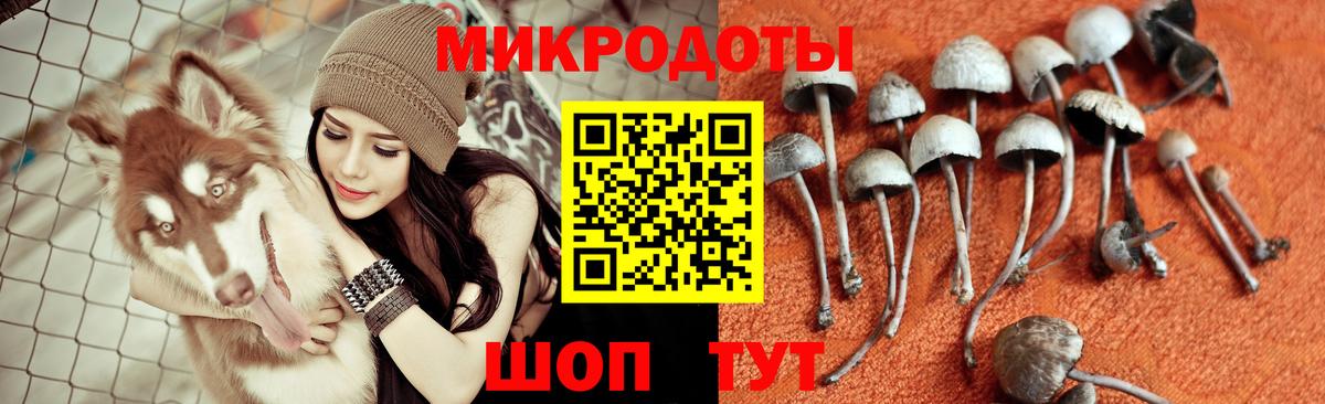 хочу   Галлюциногенные грибы прущие грибы  Оренбург  Вход с VPN  Псилоцибиновые грибы MAGIC MUSHROOMS 