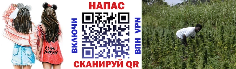Конопля VHQ  Оренбург 